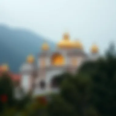 Magnificent BSW 코인: 새로운 기회와 도전