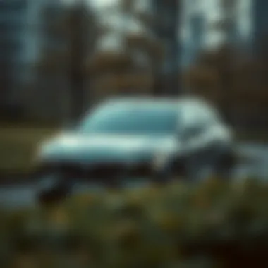 Magnificent Nexa: 암호화폐 세계의 혁신과 진화