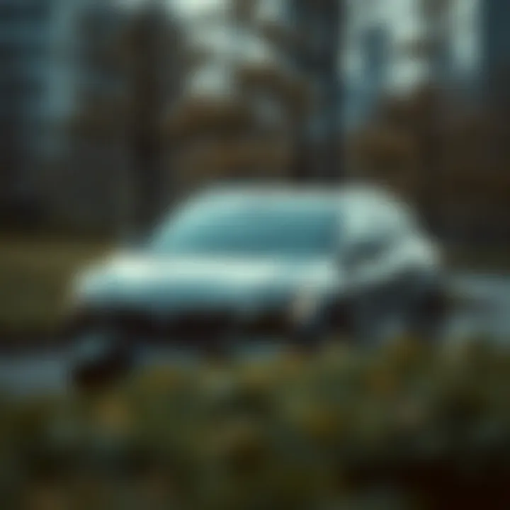 Magnificent Nexa: 암호화폐 세계의 혁신과 진화