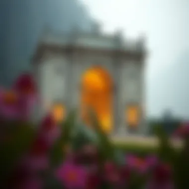 Magnificent 루나의 가격 변동 분석