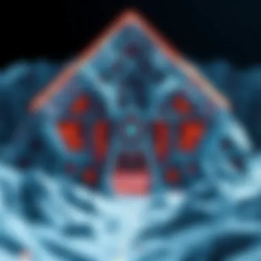 The Architecture of Avalanche: A Technological Marvel Visual representation of the Avalanche platform architecture