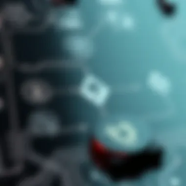 Cryptocurrency Vulnerabilities Explained Diagram illustrating the mechanisms of cryptocurrency vulnerabilities