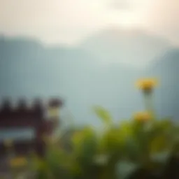 ENS 도메인: 암호화폐 생태계에서의 역할과 미래 가능성 Introduction