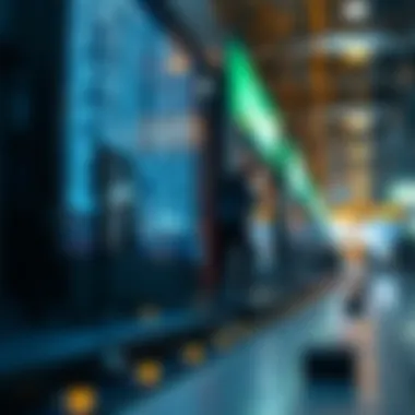 Use cases of pin nodes in various blockchain applications