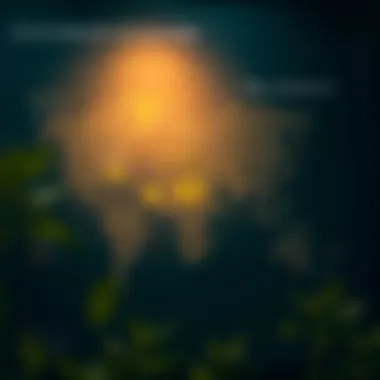 Detailed ecosystem map of the Uniswap platform